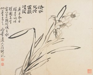 Landskaper, blomster og fugler- Narcissus